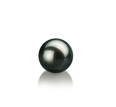 7-8mm Japán Akoya Loose Pearl in Fekete