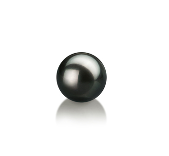 7-8mm Japán Akoya Loose Pearl in Fekete