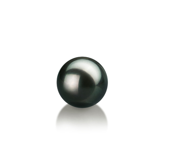 7-8mm Japán Akoya Loose Pearl in Fekete